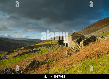 Die Ruinen der Spinner Halle, in der Nähe von Keld, obere Swaledale, Yorkshire Dales National Park, England UK Stockfoto