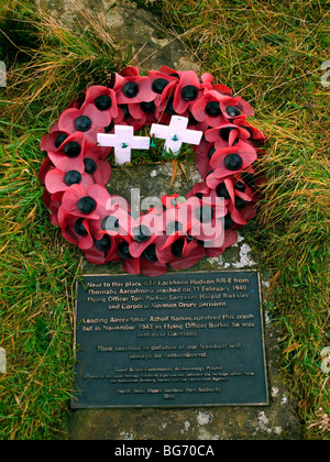 Gedenktafel und Mohn Kranz auf dem Gelände eines Flugzeugabsturzes WW2 RAF auf Platten Moor North Yorkshire Stockfoto