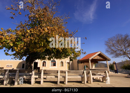 Israel, oberen Galiläa, Nabi Sabalan im Drusendorf Hurfeish Stockfoto