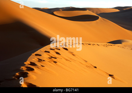 Geblasen-Over Fußabdrücke in den Sanddünen des Erg Muzurq, Sahara Wüste, Libyen Stockfoto