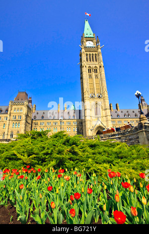 Block und Peace Tower Parlamentsgebäude und einen Garten von Tulpen auf Parliament Hill, Stadt von Ottawa, Ontario, Kanada kann Zentrum Stockfoto