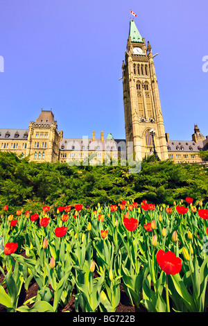 Block und Peace Tower Parlamentsgebäude und einen Garten von Tulpen auf Parliament Hill, Stadt von Ottawa, Ontario, Kanada kann Zentrum Stockfoto