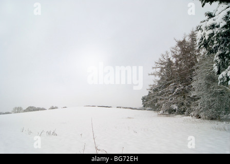 Weihnachtskarte-Bild von einem Schneefeld mit Wald inmitten der englischen Landschaft im winter Stockfoto