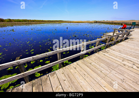 Marsh Boardwalk, Point Pelee Nationalpark, Leamington, Ontario, Kanada. Stockfoto