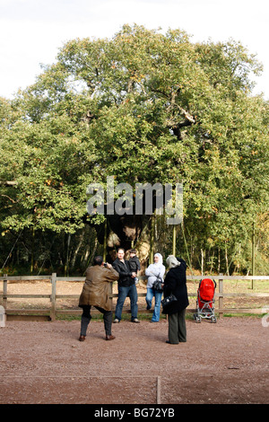 Sherwood Forest. Besucher der großen Eiche. Ein Pendunculate Eiche, Quercus Robur. Der wohl bekannteste Baum der Welt. Handlungslähmende Stockfoto