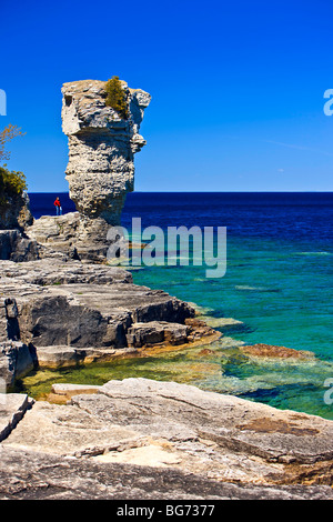 Meer-Stack entlang der Küstenlinie von Blumentopf-Insel in der Fathom Five National Marine Park, Lake Huron, Ontario, Kanada. Modell Re Stockfoto