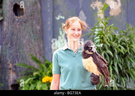 Spectacled Eulen (Pulsatrix Perspicillata) mit trainer Stockfoto