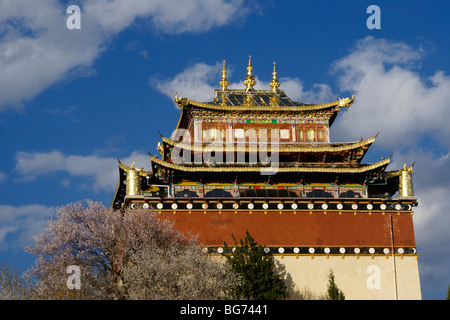 Guishan Temple, Zhongdian Altstadt, Shangri-La, Yunnan, China Stockfoto