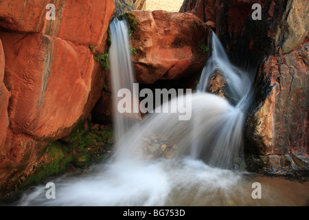 Kleiner Wasserfall am Clear Creek, ein Nebenstrom auf dem Colorado River im Grand Canyon Stockfoto