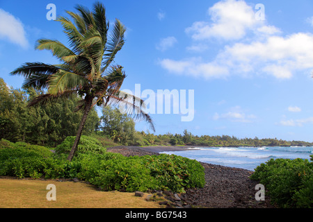 Hana Bay Strand in Hana, Maui, Hawaii Stockfoto