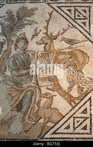Orpeus spielt Leier und die Tiere C3-4. Römisches Mosaik im Arles Antique Museum, Musée de l'Arles Antique, Provence, Frankreich Stockfoto