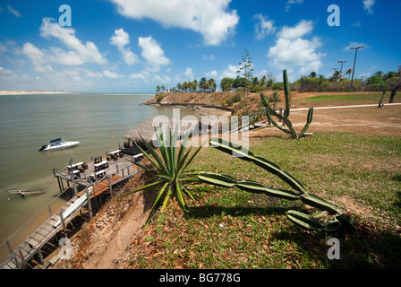 Tropische Küste von Tibau do Sul in der Nähe von Pipa Brasilien Stockfoto