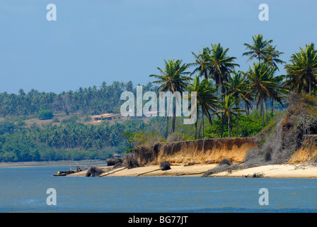 Tropische Küste von Tibau do Sul in der Nähe von Pipa Brasilien Stockfoto