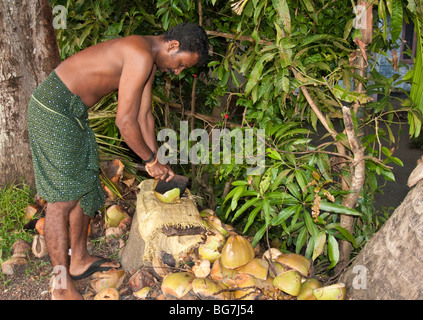 Mann hacken Kokosnuss Stockfoto