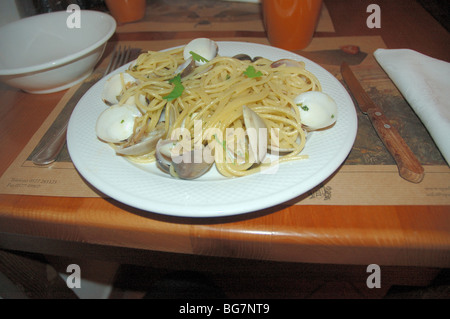 Typische Spaghetti mit Venusmuscheln in Siena, Toskana, Italien, Europa Stockfoto