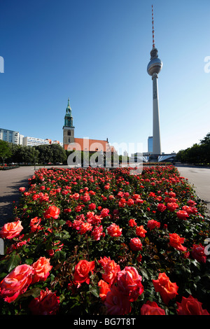 Deutschland Berlin Alexanderplatz Platz Alexander Platz Marienkirche St. Marien Kirche Fernsehturm Fernsehturm Fernsehturm Stockfoto