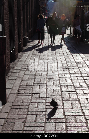 Finnland, Helsinki, Helsingfors, Aleksanterinkatu, Aleksanterink Straße, Fußweg, Fußgänger, Taube Stockfoto