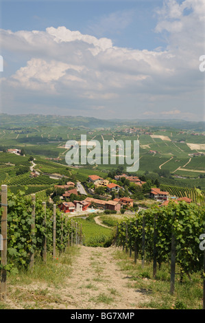 Blick nach Osten von La Morra in Richtung Castiglione Falletto in den Hügeln der Langhe Piemont Barolo-Weinberge Stockfoto