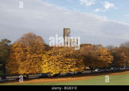 Herbst, Kirkstall Abbey Park, Leeds, West Yorkshire, Okt 2009 Stockfoto