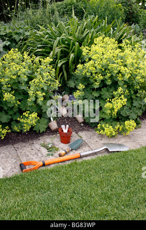 EINE GRENZE IN EINEM ENGLISCHEN LANDGARTEN ZU PFLANZEN. Stockfoto