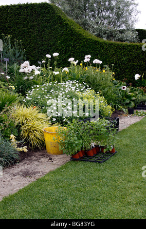 EINE GRENZE IN EINEM ENGLISCHEN LANDGARTEN ZU PFLANZEN. Stockfoto