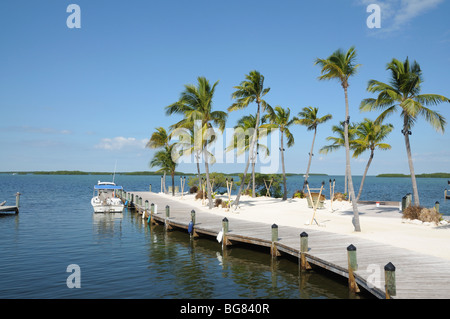 Steg und Palmen auf den Florida Keys Stockfoto