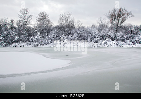 Starker Schneefall hängt auf Bäume und Sträucher in der Nähe von Wingra Creek nach dem 14-Zoll Schnee der Madison, Wisconsin ausgeblendet Stockfoto