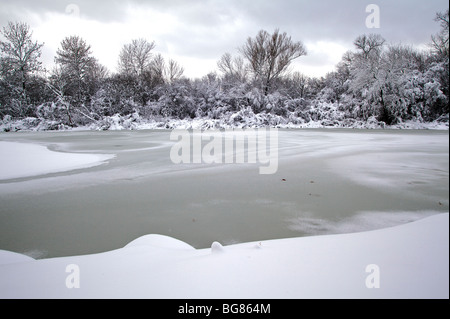 Starker Schneefall hängt auf Bäume und Sträucher in der Nähe von Wingra Creek nach dem 14-Zoll Schnee der Madison, Wisconsin ausgeblendet Stockfoto