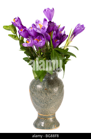 Urlaub Krokus Frühlingsblumen in Vase auf hellem Hintergrund. Stockfoto