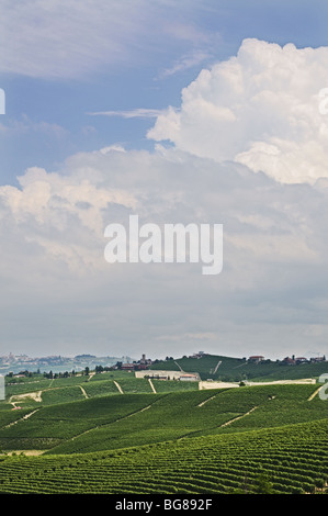Blick auf die Weinberge rund um Barolo Burg Langhe Piemont Italien Stockfoto