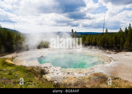 Zisterne-Frühling in das Norris Geyser Basin, Yellowstone-Nationalpark, Wyoming, USA. Stockfoto