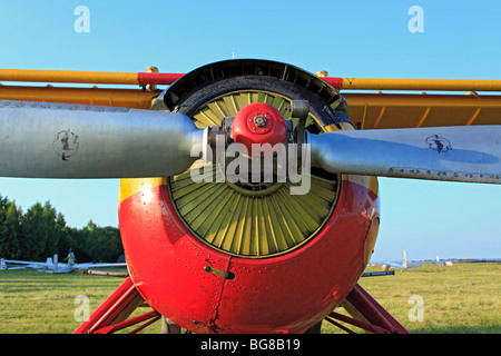 Kleinflugzeuge Flugzeuge geparkt an einem Rasen Flugplatz, Russland Stockfoto