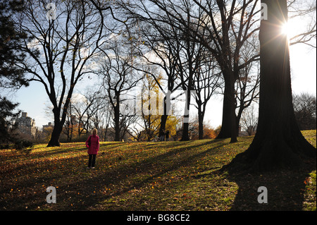 Ein Spaziergang im Winter durch den Central Park Manhattan New York USA nehmen Stockfoto
