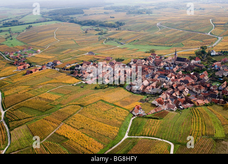 Elsässer Weinberg Stockfoto