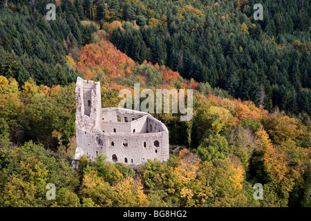 Die "Château de Spesbourg" Burg (67) Stockfoto