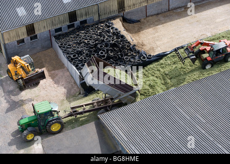 Silage Stockfoto