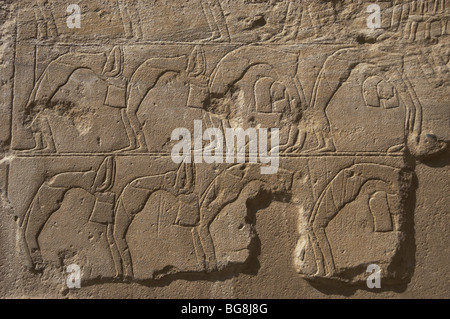 Relief Darstellung einer Gruppe von Tänzern. Neuen Reiches. Tempel von Luxor. Ägypten. Stockfoto