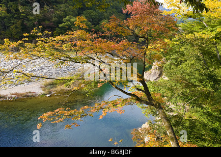 Herbstliche Landschaft. Aroun Shirakawa-Go. Präfektur Gifu. Insel Hondo (Honshu). Japan. Stockfoto