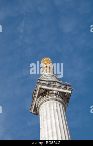 Die Aussichtsplattform & vergoldeten Urne des Feuers auf das Denkmal für den großen Brand von London, London, UK. Stockfoto