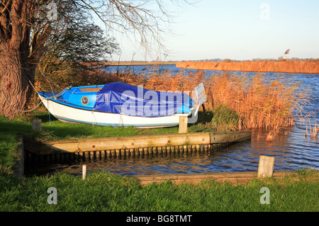 Ein kleines Broads Sportboot aus dem Wasser am Ufer des Flusses in Upton, Norfolk, Großbritannien. Stockfoto