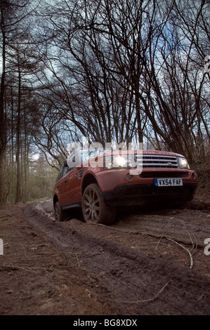 Range Rover Sport 4 x 4 fahren auf einem Waldweg im winter Stockfoto