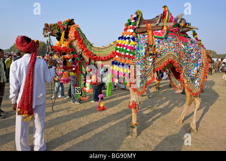 Geschmückten Kamel. Bikaner Camel Festival. Rajasthan. Indien Stockfoto