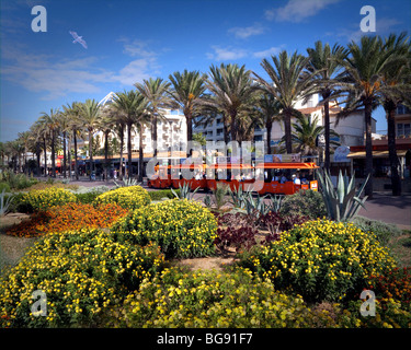 ES - MALLORCA: The Promenade an der Playa de Palma Stockfoto