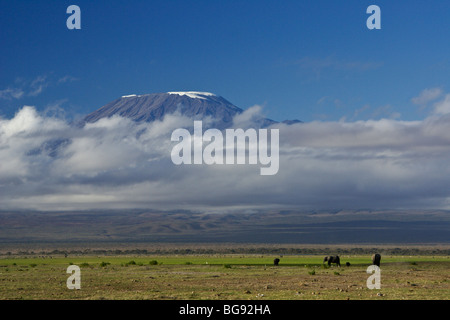 Mount Kilimanjaro, Tansania, angesehen vom Amboseli Nationalpark, Kenia Stockfoto