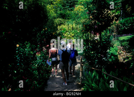 Leute, Touristen, Balata Garten, tropischen botanischen Park, Botanischer Garten, tropischen botanischen Park, Botanischer Park, Martinique, Französische Antillen, Frankreich Stockfoto