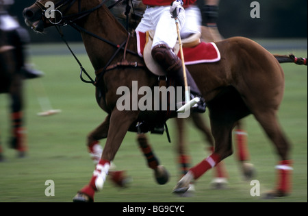 Polo-Spieler auf seinem Pferd Stockfoto