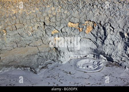 Brodelnde Schlamm im Hverir, geothermischen Feldern um Namafjall Berg, Myvatn See Bereich Island Stockfoto