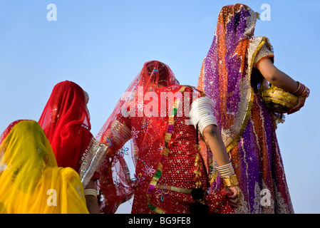 Indische Frauen mit traditionellen Saris. Bikaner. Rajasthan. Indien Stockfoto