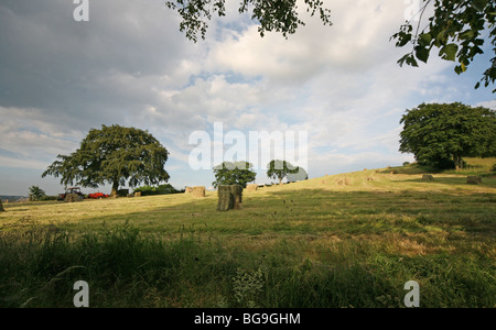 ein Feld auf einer englischen Sommertag mit Heuballen Stockfoto