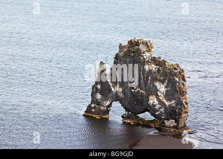 Hvítserkur, Felsformation in Hunafjordur, Halbinsel Vatnsnes, Norden von Island Stockfoto